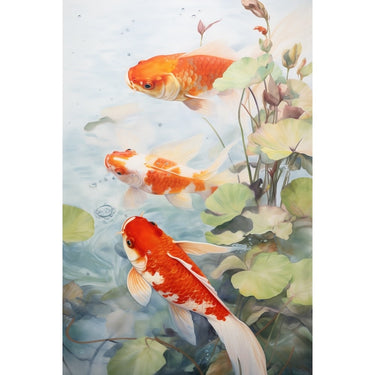 Koi Fish in Pond Canvas